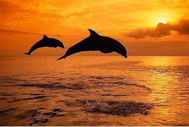 《原子之心》公布DLC#3新预告 上线时间待定